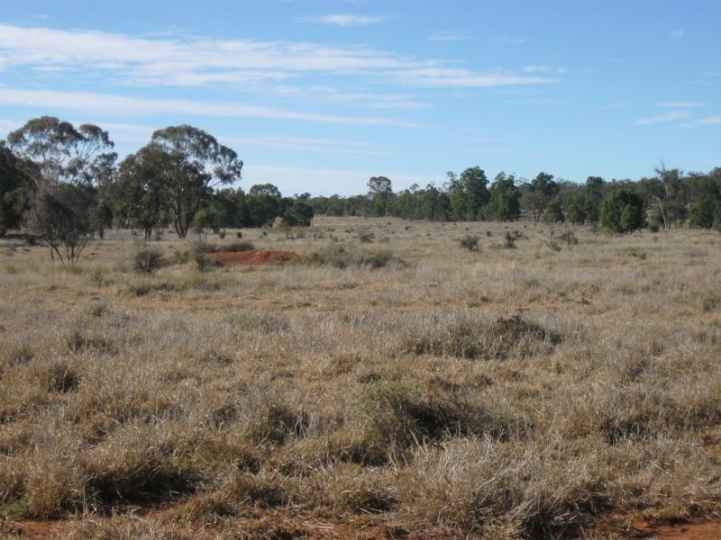Dunkeld Road, Roma QLD 4455
