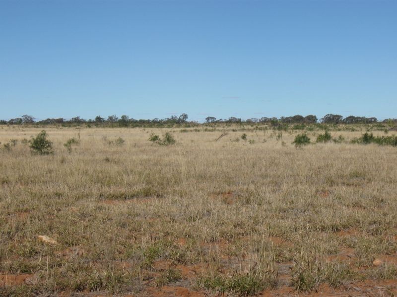 Dunkeld Road, Roma QLD 4455