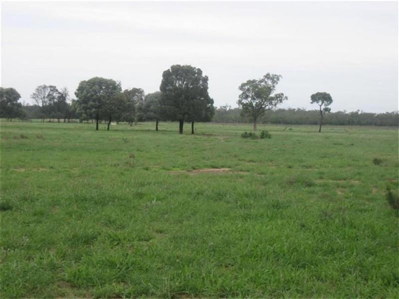 Surat-Yuleba Road, Surat QLD 4417