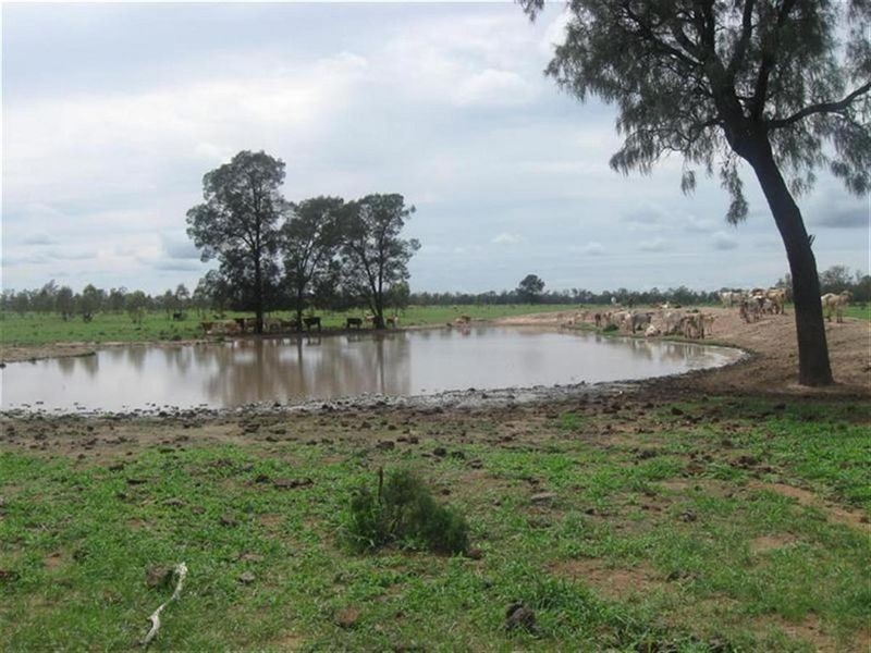 Surat-Yuleba Road, Surat QLD 4417