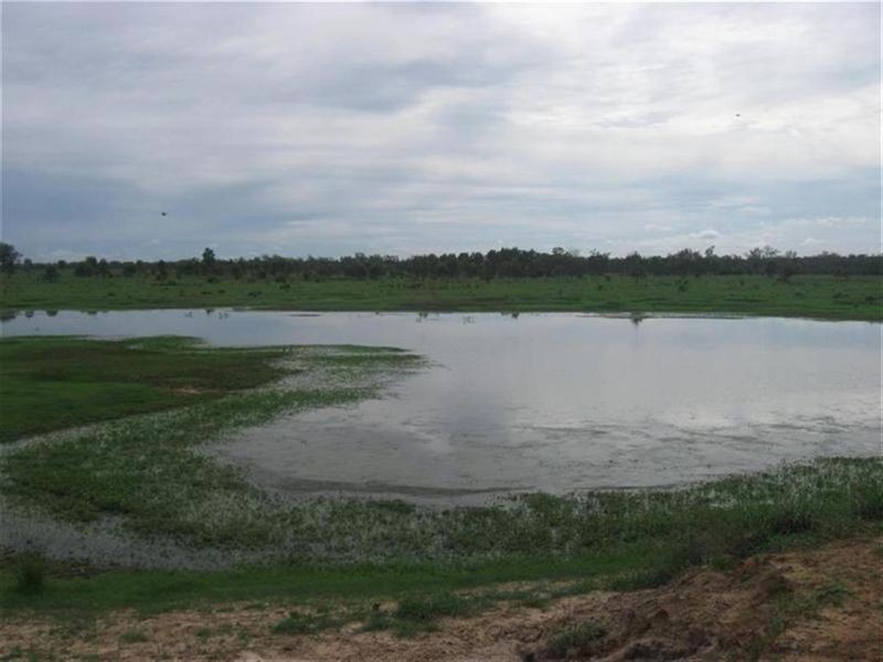 Surat-Yuleba Road, Surat QLD 4417