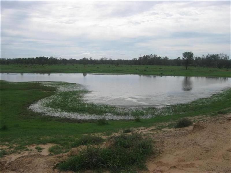 Surat-Yuleba Road, Surat QLD 4417