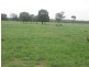 Surat-Yuleba Road, Surat QLD 4417