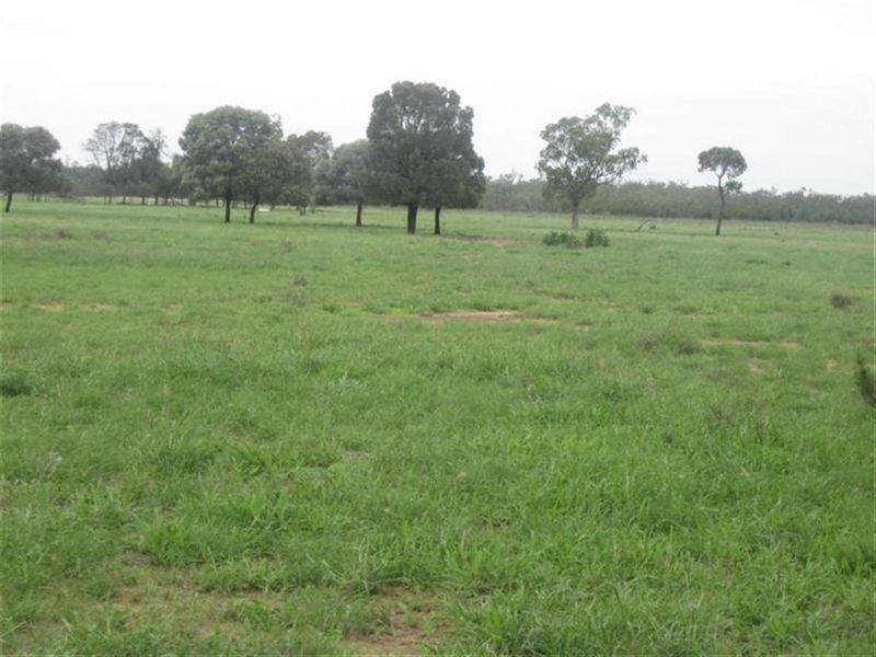 Surat-Yuleba Road, Surat QLD 4417