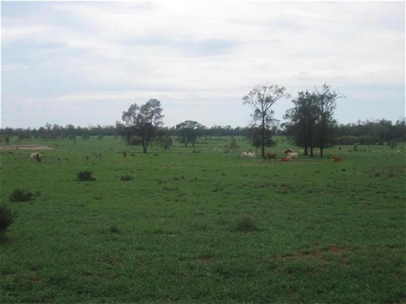 Surat-Yuleba Road, Surat QLD 4417