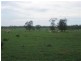 Surat-Yuleba Road, Surat QLD 4417