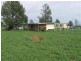 Surat-Yuleba Road, Surat QLD 4417