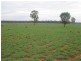 Surat-Yuleba Road, Surat QLD 4417