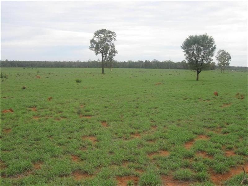 Surat-Yuleba Road, Surat QLD 4417