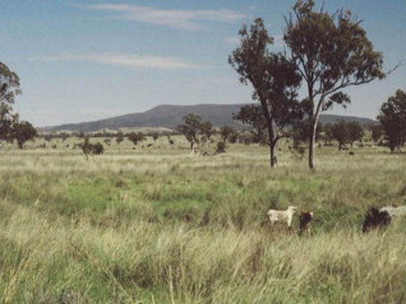 L104 Kooragan Road, Injune QLD 4454