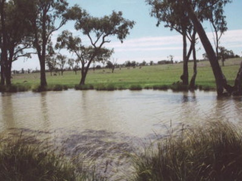 L104 Kooragan Road, Injune QLD 4454