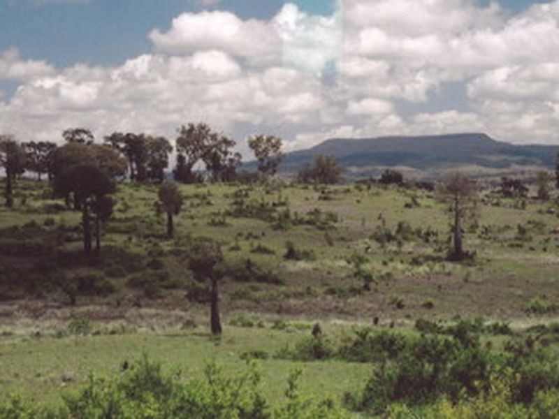 L104 Kooragan Road, Injune QLD 4454