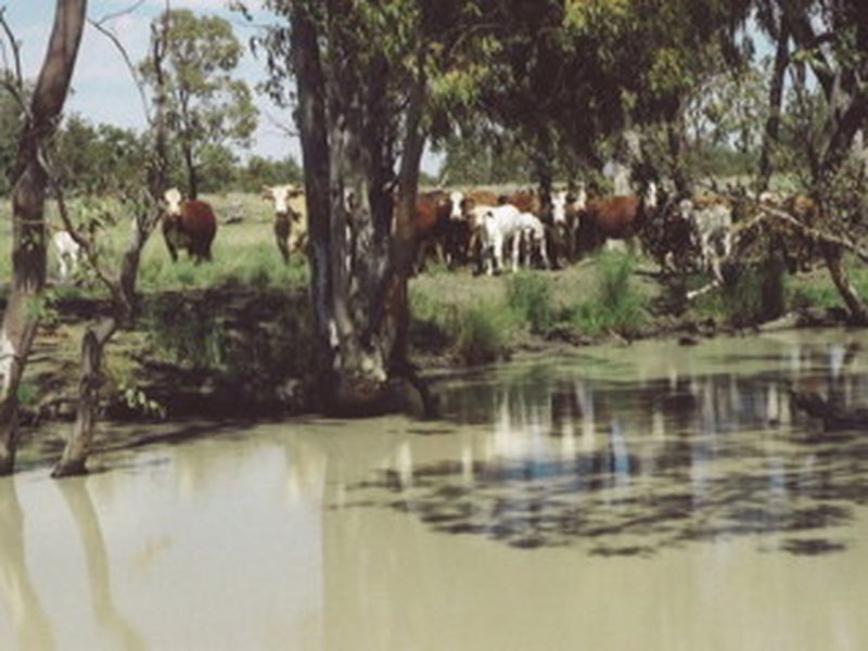 L104 Kooragan Road, Injune QLD 4454