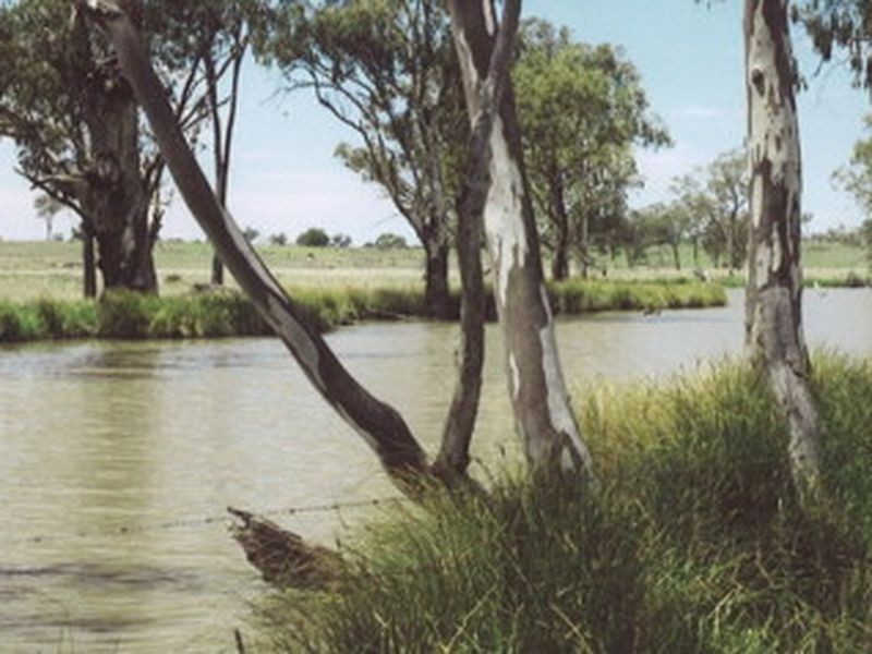 L104 Kooragan Road, Injune QLD 4454