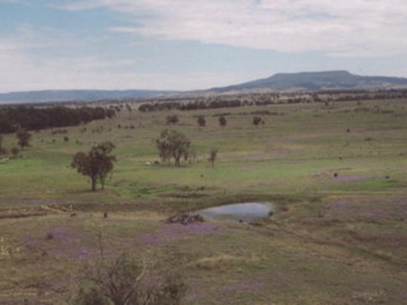 L104 Kooragan Road, Injune QLD 4454