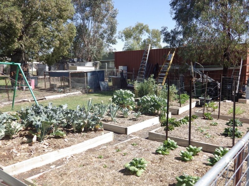 9 Miscamble Street, Roma QLD 4455