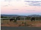 Roma/Taroom Road, Roma QLD 4455
