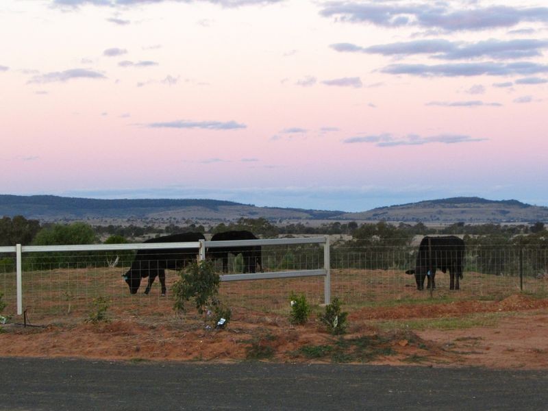 Roma/Taroom Road, Roma QLD 4455