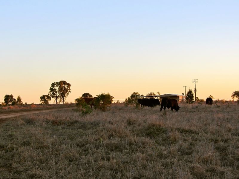 Roma/Taroom Road, Roma QLD 4455