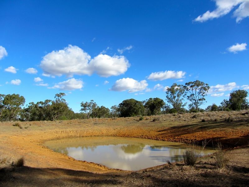 Roma/Taroom Road, Roma QLD 4455
