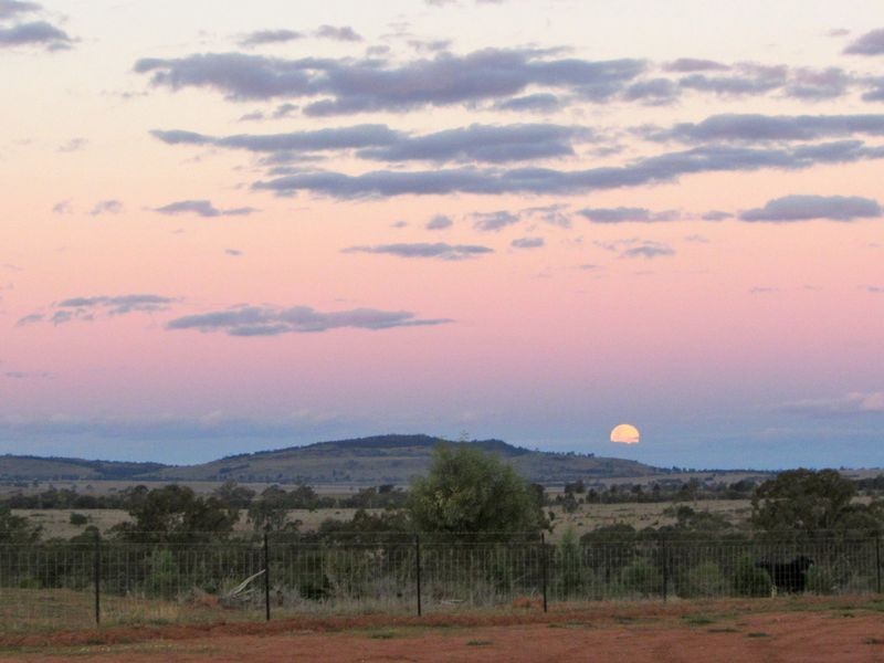 Roma/Taroom Road, Roma QLD 4455