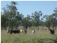 Lot 2 Roma Downs Road, Roma QLD 4455