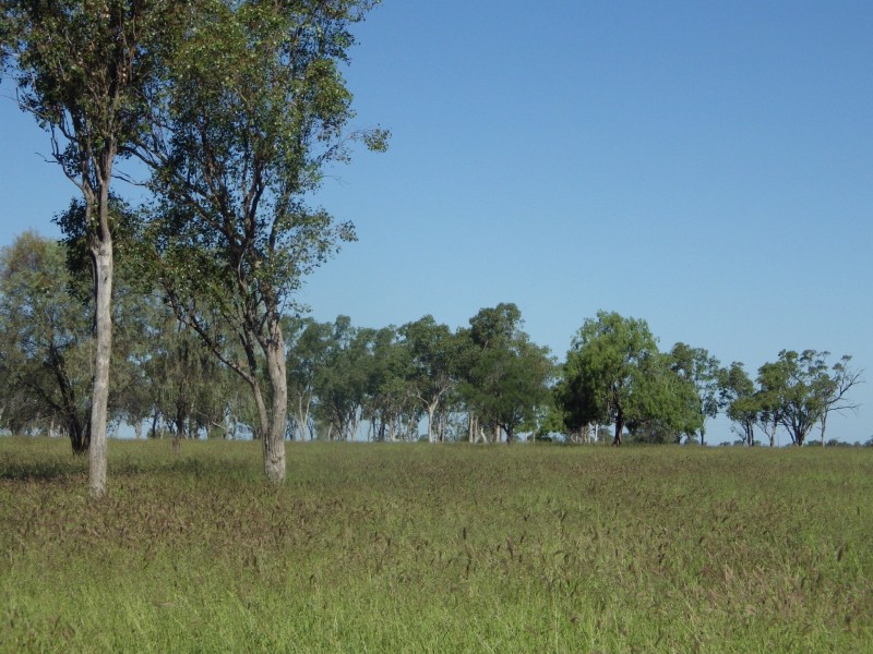 Lot 2 Roma Downs Road, Roma QLD 4455