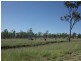Lot 2 Roma Downs Road, Roma QLD 4455