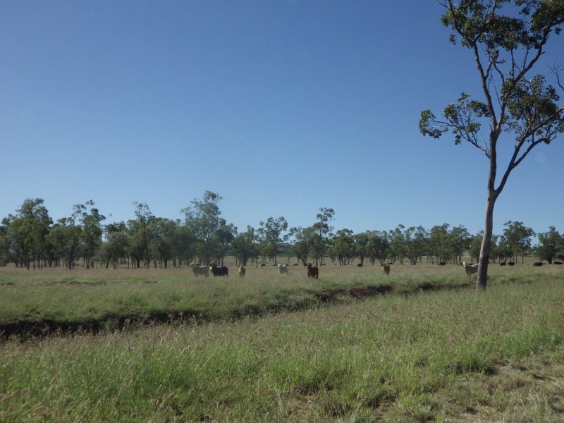 Lot 2 Roma Downs Road, Roma QLD 4455