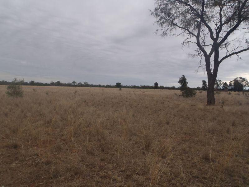 574 Windemere Road, Glenmorgan QLD 4423