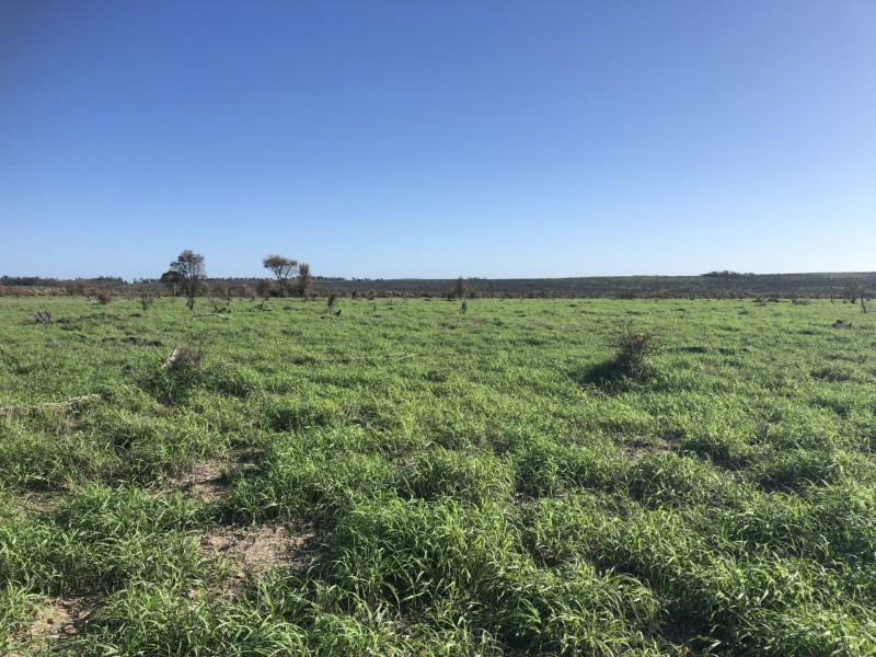 1551 Mt Owen Road, Mitchell QLD 4465