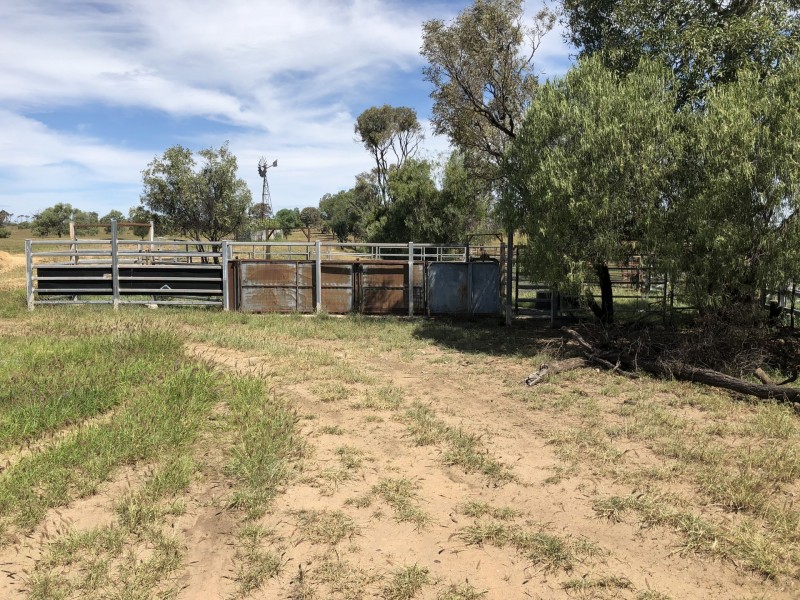 1551 Mt Owen Road, Mitchell QLD 4465