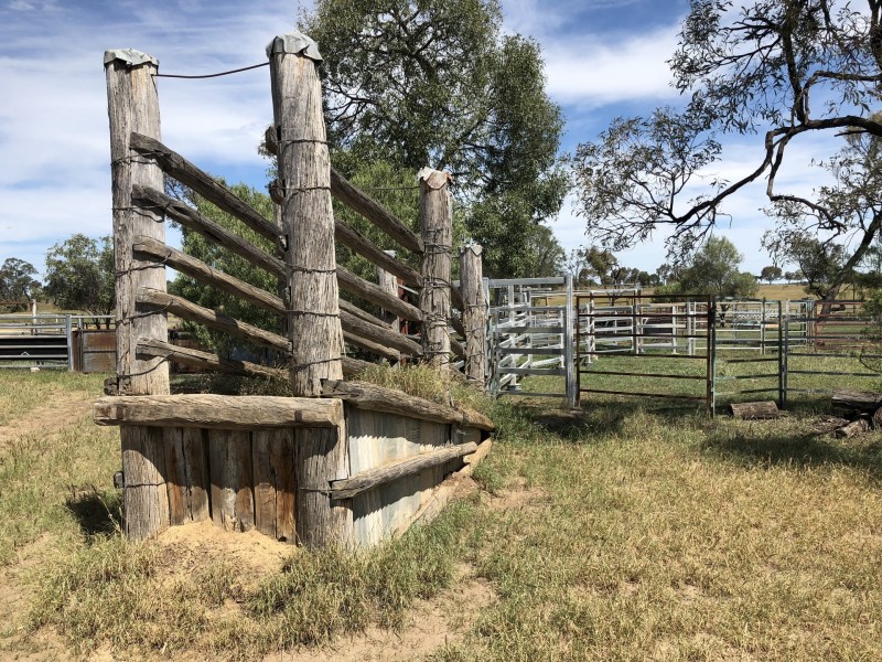 1551 Mt Owen Road, Mitchell QLD 4465