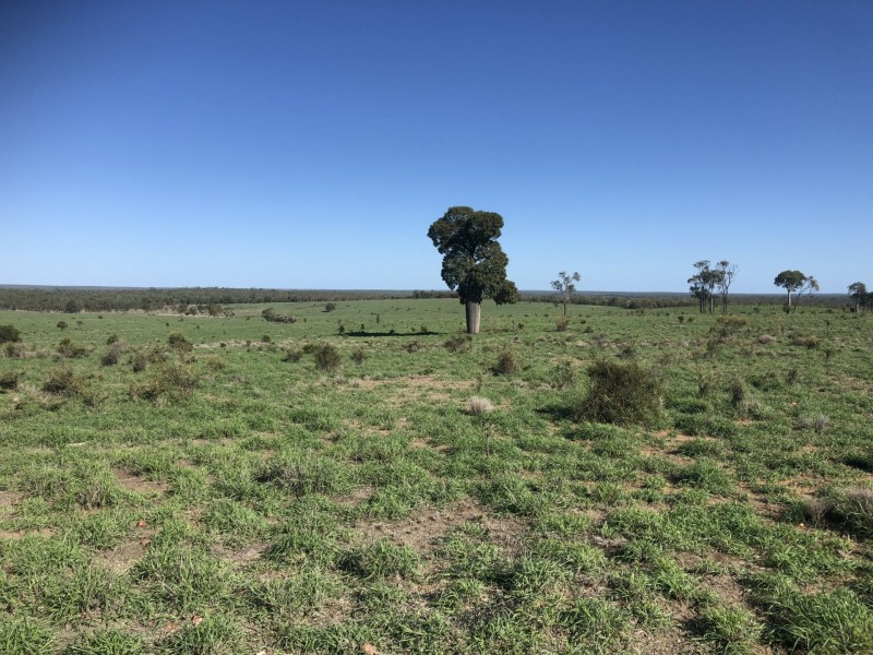 1551 Mt Owen Road, Mitchell QLD 4465