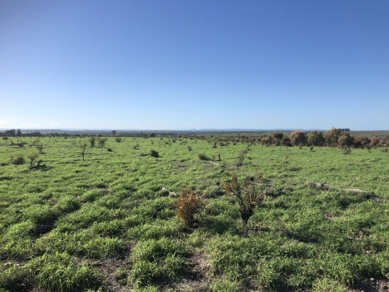 1551 Mt Owen Road, Mitchell QLD 4465