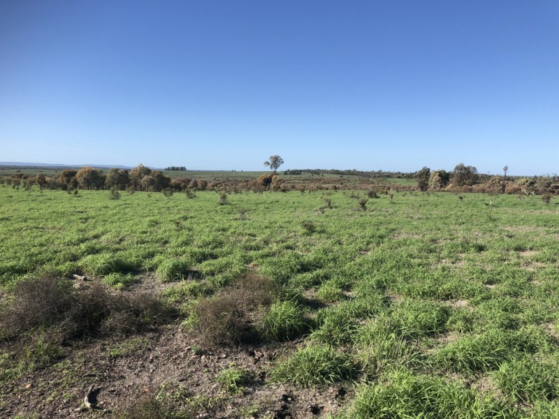 1551 Mt Owen Road, Mitchell QLD 4465