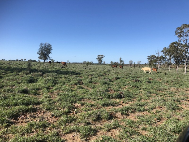 1551 Mt Owen Road, Mitchell QLD 4465