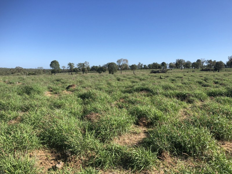 1551 Mt Owen Road, Mitchell QLD 4465