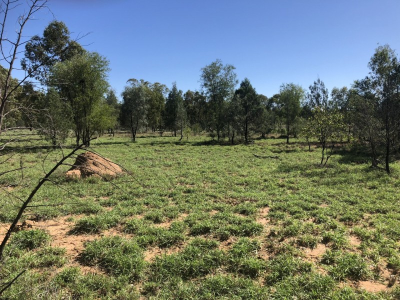 1551 Mt Owen Road, Mitchell QLD 4465