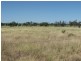 Lot 17 ‘Swerdna Downs’, Surat QLD 4417