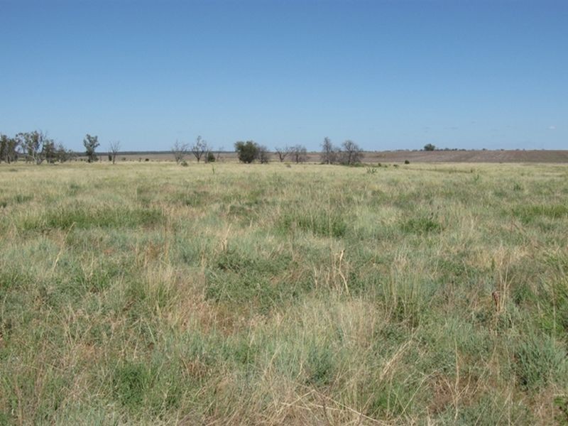 Lot 17 ‘Swerdna Downs’, Surat QLD 4417