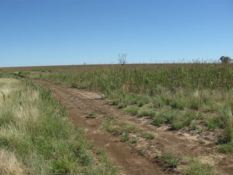 Lot 17 ‘Swerdna Downs’, Surat QLD 4417