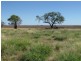 Lot 17 ‘Swerdna Downs’, Surat QLD 4417