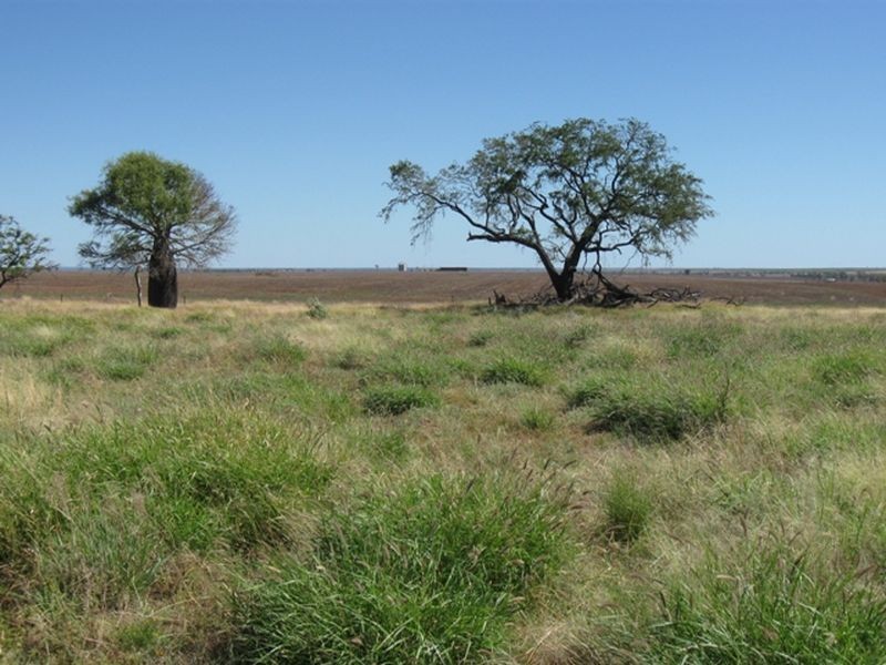 Lot 17 ‘Swerdna Downs’, Surat QLD 4417