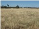 Lot 17 ‘Swerdna Downs’, Surat QLD 4417