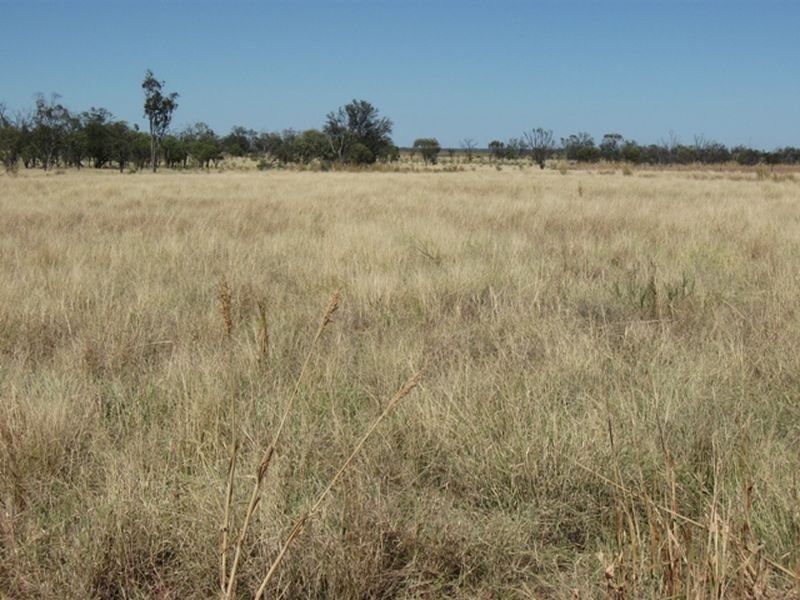 Lot 17 ‘Swerdna Downs’, Surat QLD 4417