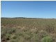 Lot 17 ‘Swerdna Downs’, Surat QLD 4417