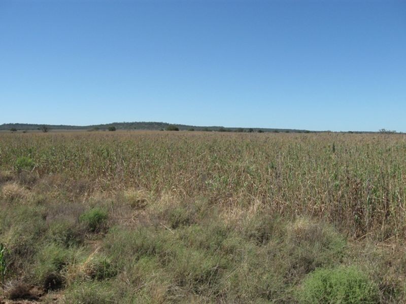 Lot 17 ‘Swerdna Downs’, Surat QLD 4417