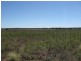 Lot 17 ‘Swerdna Downs’, Surat QLD 4417