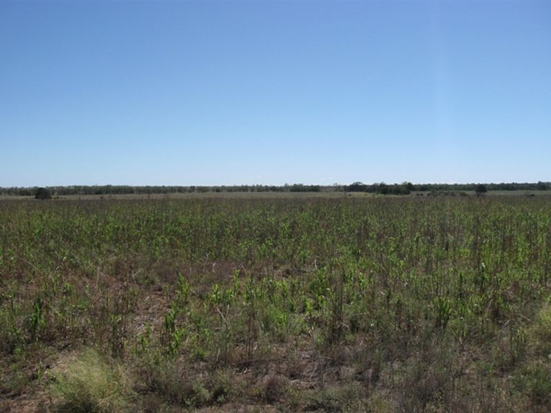Lot 17 ‘Swerdna Downs’, Surat QLD 4417
